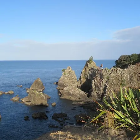 Kakariki Rooms, Kotare House Tawharanui Exterior foto